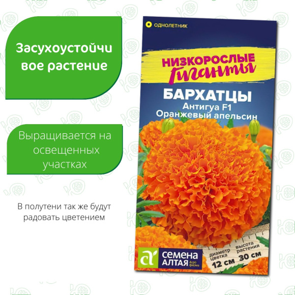 Бархатцы Антигуа Оранжевый апельсин [Семена алтая] купить с доставкой