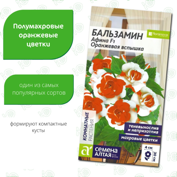 Бальзамин Афина Оранжевая вспышка[Семена алтая] купить с доставкой
