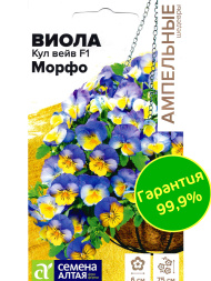 Виола Кул Вейв Морфо [Семена алтая]