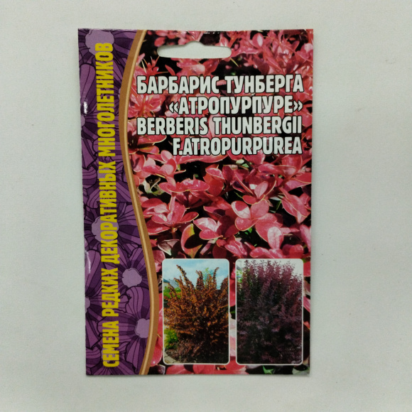 Барбарис Тунберга Атропурпуре [Семена редких растений] купить с доставкой