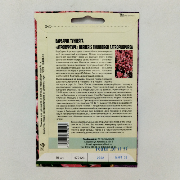 Барбарис Тунберга Атропурпуре [Семена редких растений] купить с доставкой