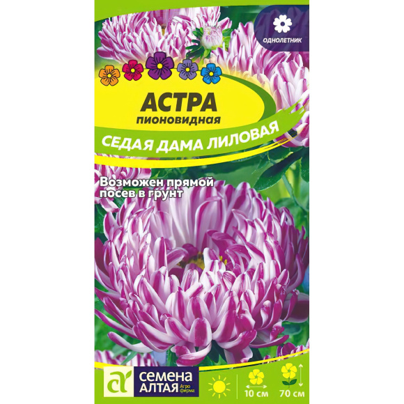 Астра Седая Дама Лиловая [Семена алтая] купить с доставкой