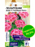 Пеларгония Дивас Распберри Риппл [Семена алтая] купить с доставкой