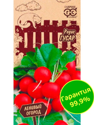 Редис Гусар Ленивый огород [Гавриш]