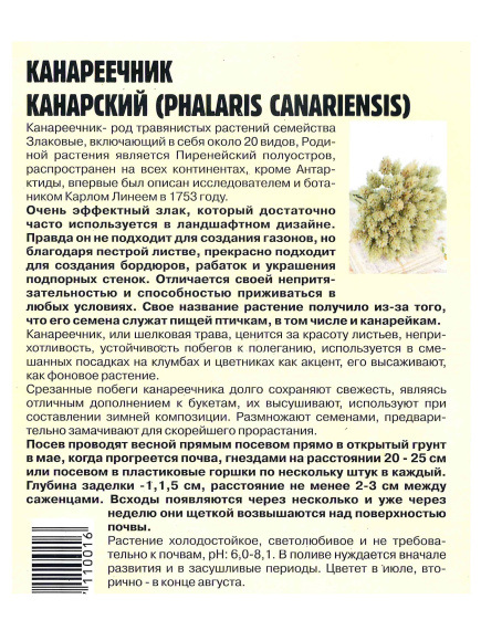 Жасмин Кустарниковый [Семена редких растений] купить с доставкой