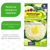 Бархатцы Килиманджаро [Семена алтая]