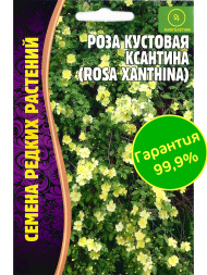 Роза кустовая Ксантина [Семена редких растений]