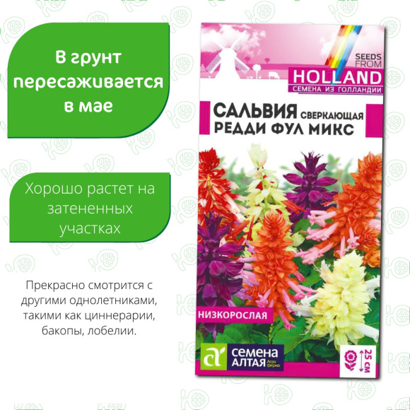 Сальвия Редди Фулл микс сверкающая [Семена алтая] купить с доставкой