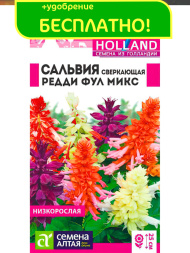 Сальвия Редди Фулл микс сверкающая [Семена алтая]