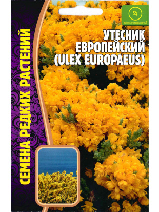 Утесник Европейский [Семена редких растений]