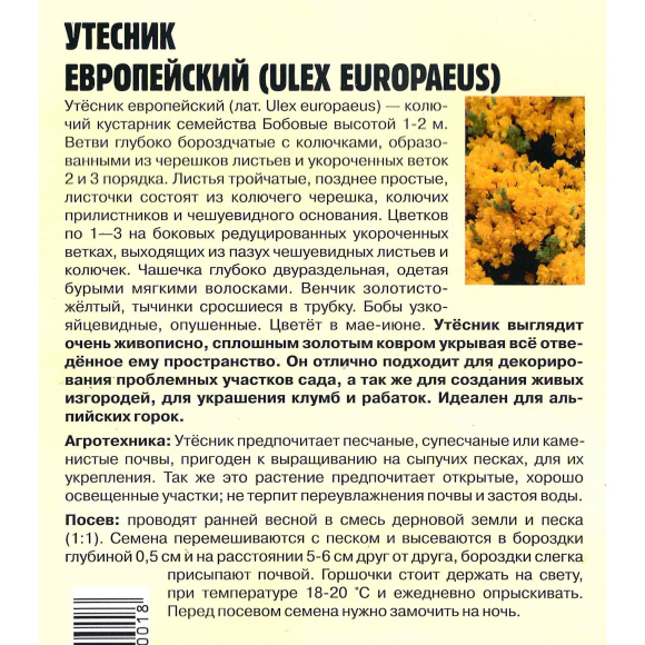 Утесник Европейский [Семена редких растений] купить с доставкой