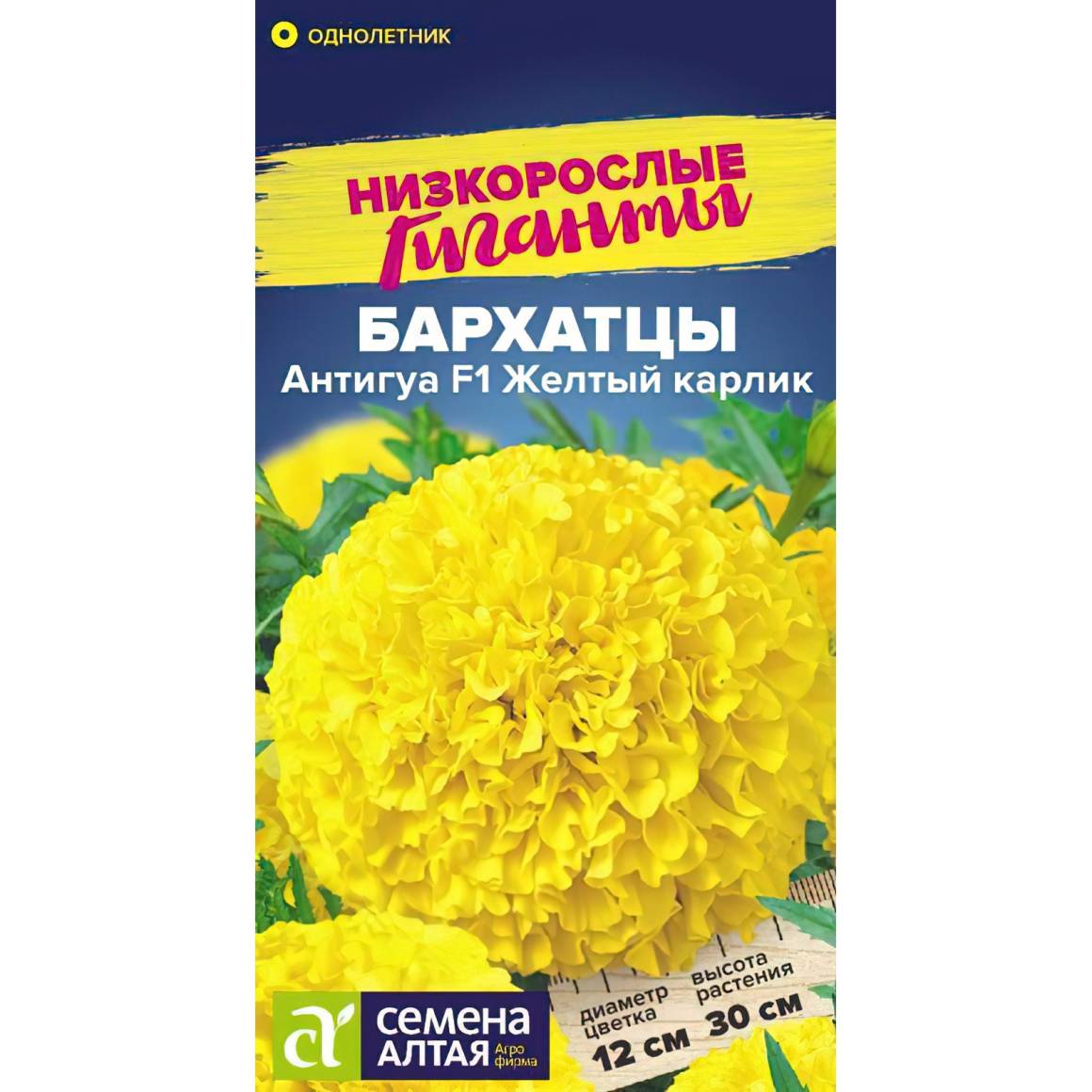 Бархатцы Антигуа Желтый карлик [Семена алтая] купить в интернет-магазине  Любвитского питомника с доставкой почтой или транспортной по России