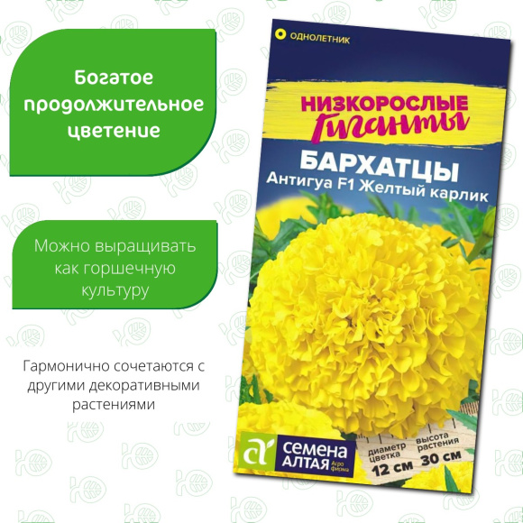 Бархатцы Антигуа Желтый карлик [Семена алтая] купить с доставкой
