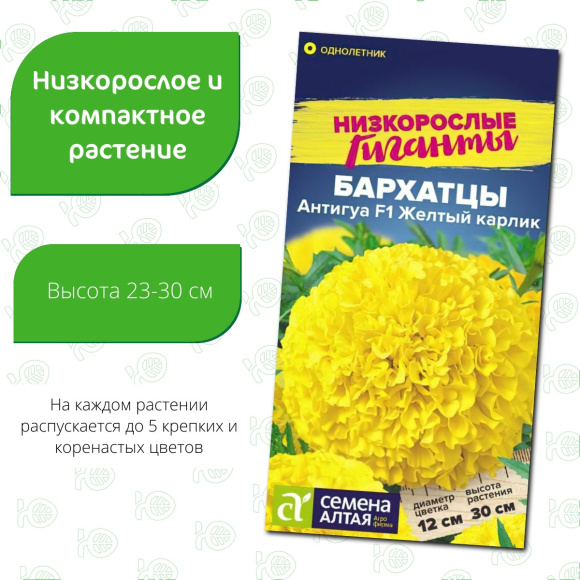 Бархатцы Антигуа Желтый карлик [Семена алтая] купить с доставкой