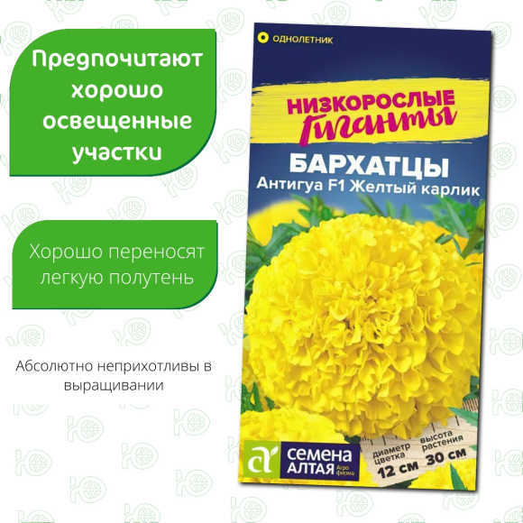 Бархатцы Антигуа Желтый карлик [Семена алтая] купить с доставкой