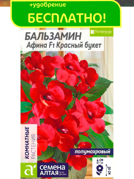 Бальзамин Афина Красный букет + подарок [Семена алтая] с доставкой