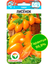 Томат Лисенок [Сибирский сад]