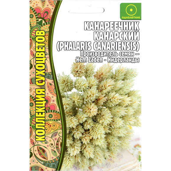 Канареечник Канарский [Семена редких растений] купить с доставкой