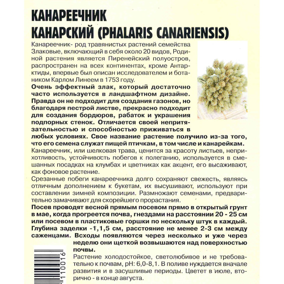 Канареечник Канарский [Семена редких растений] купить с доставкой