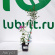 Флокс Птица Сирин купить с доставкой