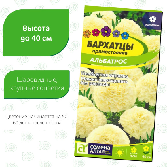 Бархатцы Альбатрос [Семена алтая] купить с доставкой