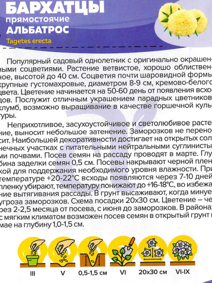 Бархатцы Альбатрос [Семена алтая] купить с доставкой