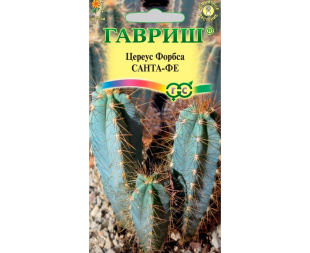 Кактус Цереус Форбса Санта-Фе [Гавриш]
