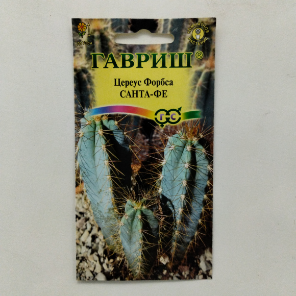 Кактус Цереус Форбса Санта-Фе [Гавриш] купить с доставкой