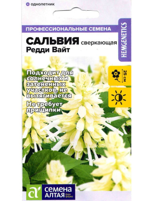 Сальвия Редди Вайт сверкающая [Семена Алтая]