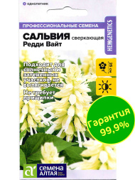 Сальвия Редди Вайт сверкающая [Семена Алтая]
