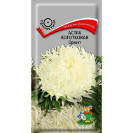 Астра коготковая Ориент [Поиск]