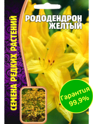 Рододендрон Желтый [Семена редких растений]