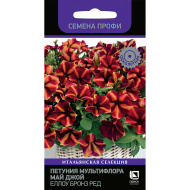 Петуния мультифлора Май Джой Еллоу Бронз Ред [Поиск]