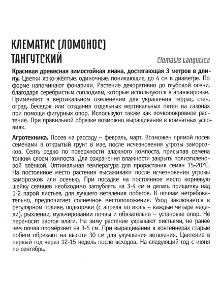 Клематис Тангутский [Семена редких растений] купить с доставкой