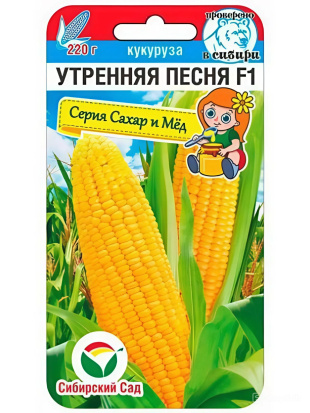 Кукуруза Утренняя песня [Сибирский сад]