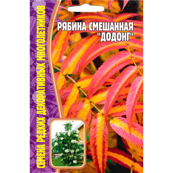 Рябина Додонг смешанная [Семена редких растений] купить с доставкой