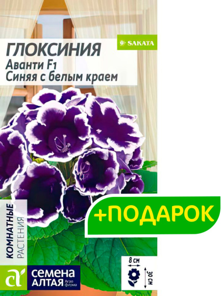 Глоксиния Аванти Синяя с белым краем + подарок [Семена алтая] купить с доставкой