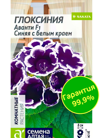 Глоксиния Аванти Синяя с белым краем [Семена алтая] купить с доставкой