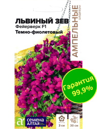 Львиный зев Фейерверк темно-фиолетовый ампельный [Семена алтая]