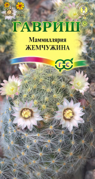 Кактус Маммиллярия шейдвелардиана Жемчужина [Гавриш]
