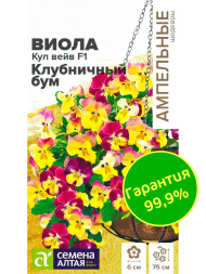 Виола Кул Вейв Клубничный бум ампельная [Семена алтая]