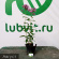 Флокс Звездочет с доставкой