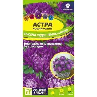Астра Тысяча чудес темно-синяя карликовая [Семена алтая]