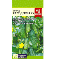 Огурец Селедочка [Семена алтая]