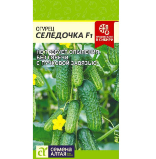 Огурец Селедочка [Семена алтая]