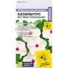 Катарантус Хит Вейв Пепперминт [Семена алтая]