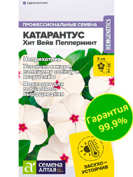 Катарантус Хит Вейв Пепперминт [Семена алтая]