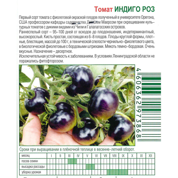 Томат Индиго Роз [Биотехника] купить с доставкой