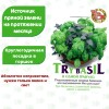 Базилик Трай Базил БукетАрома [Биотехника]