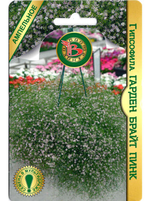 Гипсофила Гарден Брайт Пинк [Биотехника]